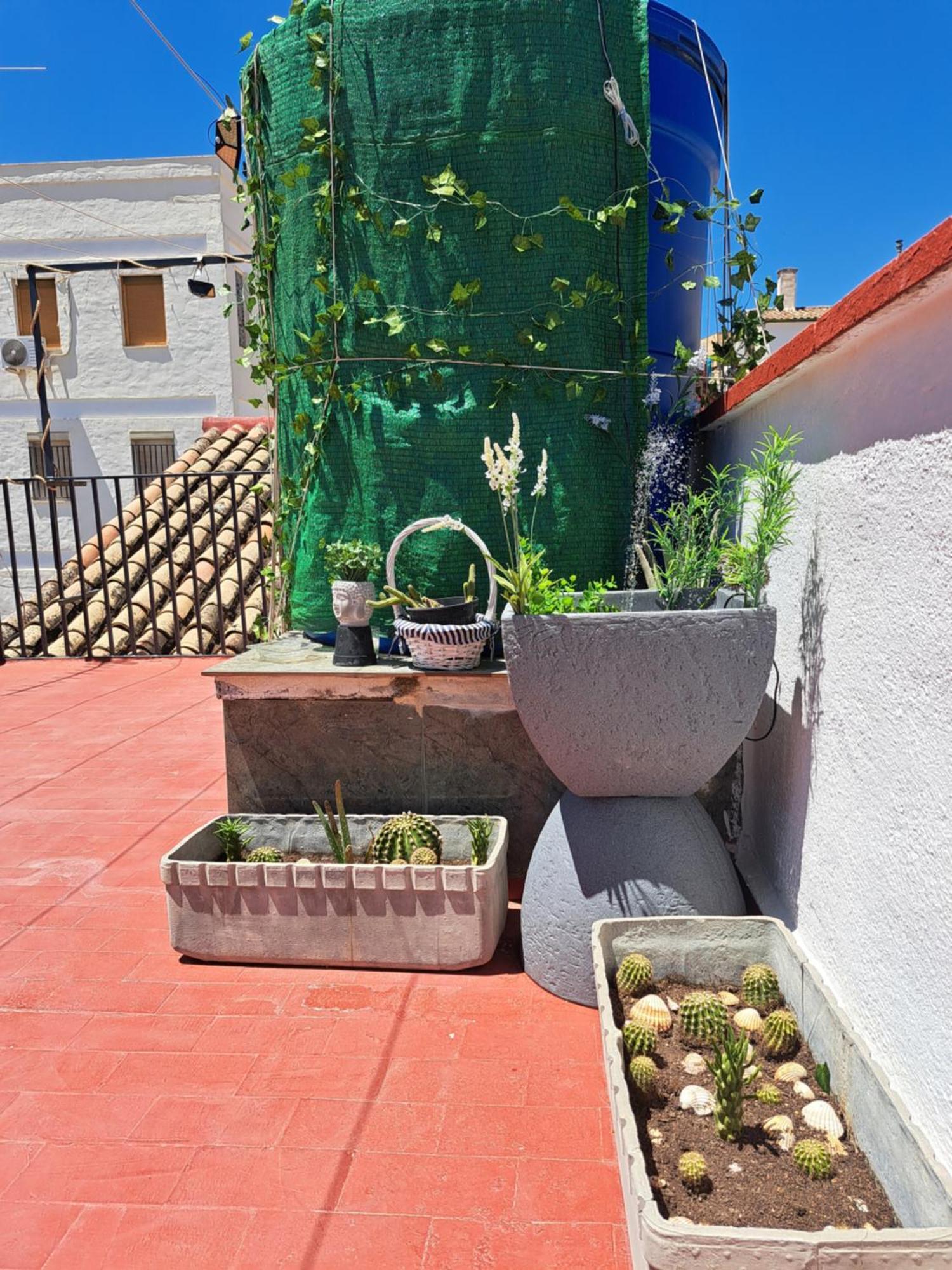 Casa Paloma Lägenhet Jaén Exteriör bild